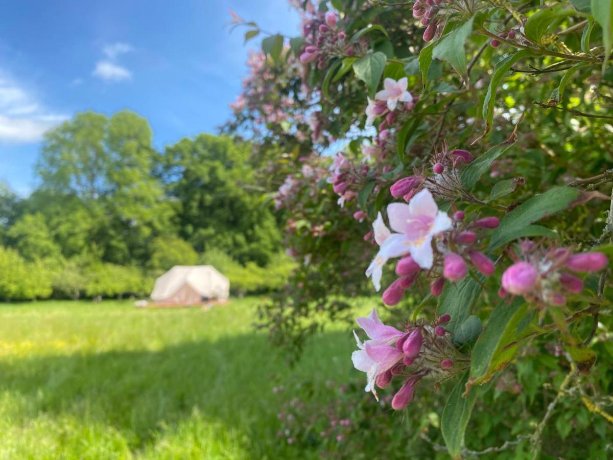 Green Glamping Sonderborg Bagian luar foto